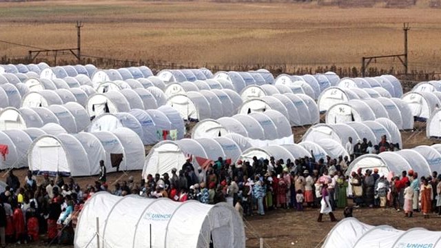 Porno eng shirali eshaklar